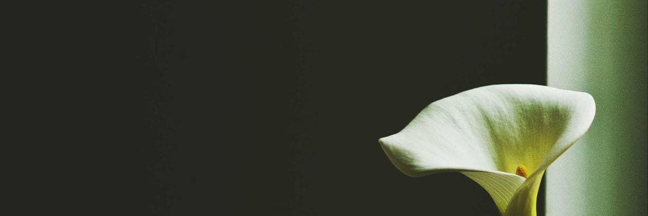 A vibrant community gathering in Bo-Kaap, Cape Town